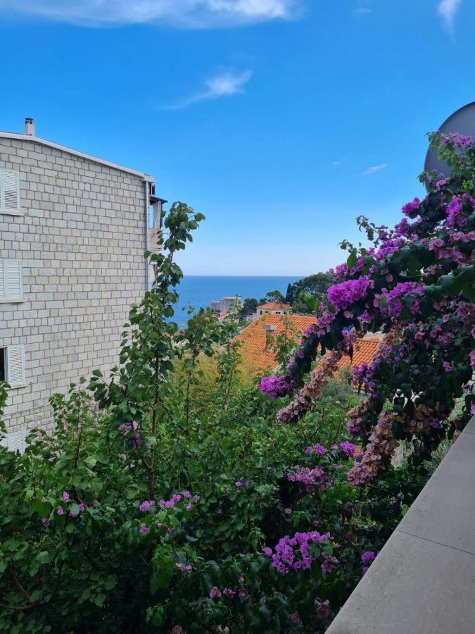 Apartments Deranja II Dubrownik Zewnętrze zdjęcie